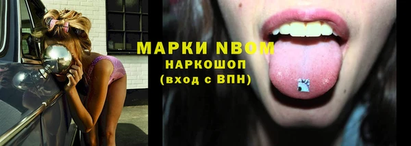 мяу мяу мука Абаза