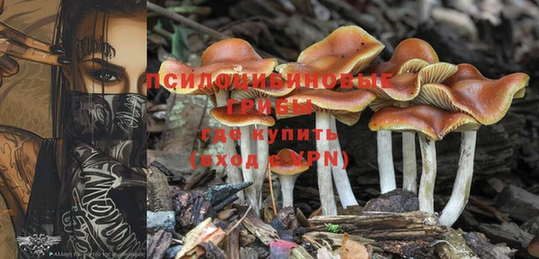Альфа ПВП Абинск