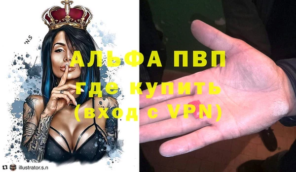стаф Алзамай