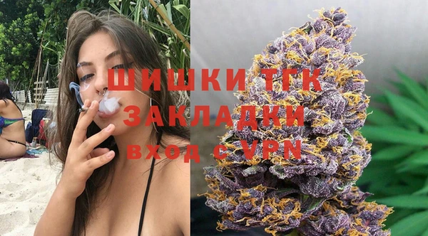 стаф Алзамай