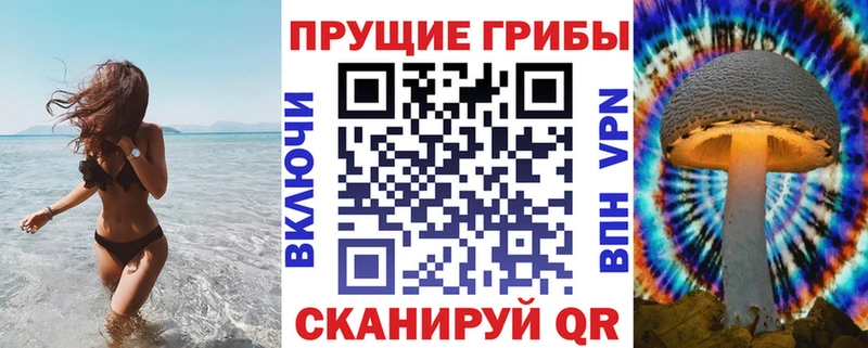 мега онион  Трубчевск  Галлюциногенные грибы Magic Shrooms 